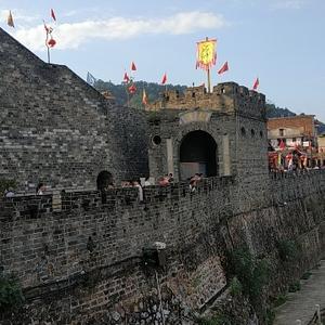 茶香地灵头像
