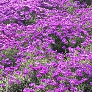 烁宝加油妈妈永远爱你头像