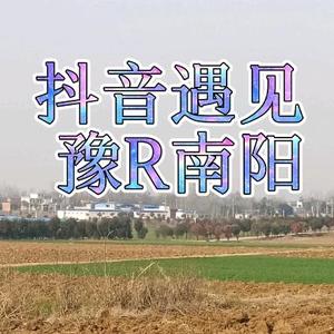 抖音遇见豫南阳头像