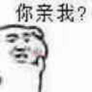 浩浩科技波头像
