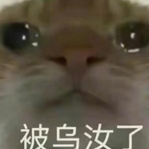 鼠鼠头像