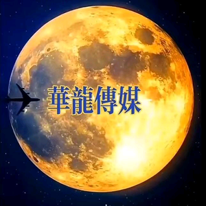 华龙传媒家庭乐队头像