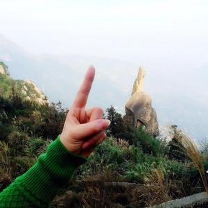傻瓜有傻福O头像