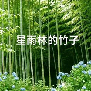 星雨林的竹子头像