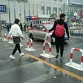 旅游大旭头像