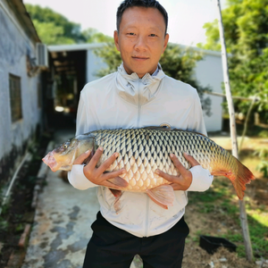Star辉仔爱钓鱼头像