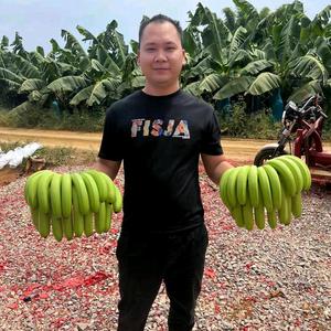 富盈果品香蕉代收头像