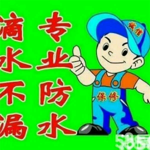 白头老李查漏水头像
