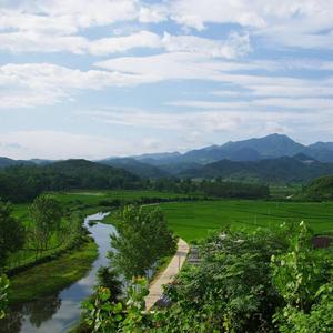 阿虎户外搞野头像