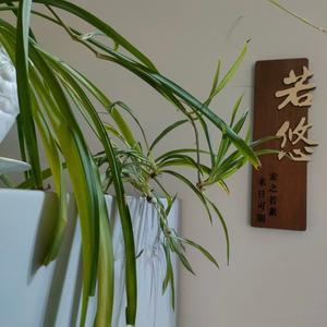 若悠头像