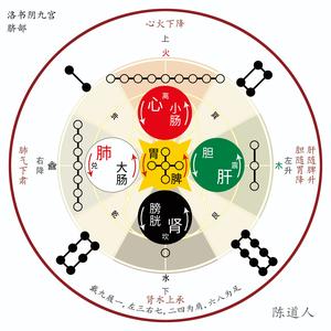 陈皮老拾头像