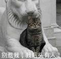 响往头像