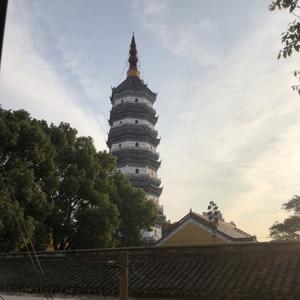 小小的枫叶go头像
