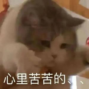 数智元宇Yang头像