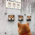 菩提树下何寻道头像