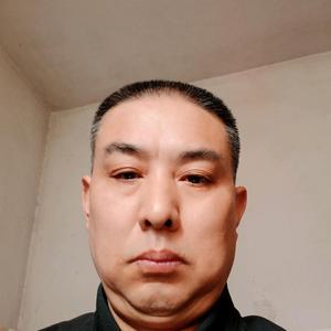 喜欢本芹的陈默冷头像