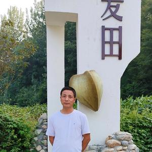蓝田峰歌头像