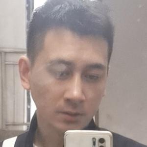 日月0星陈头像