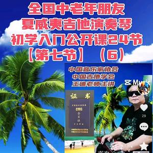 夏威夷吉他王迪头像