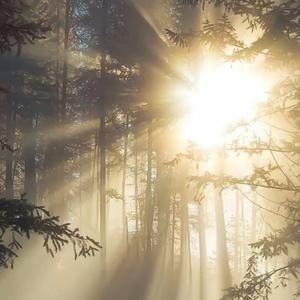 或许就从发 头像