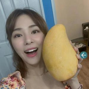 网红们头像