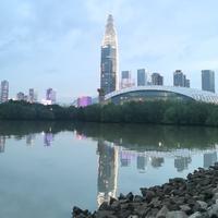 敏锐盖尔2X2头像