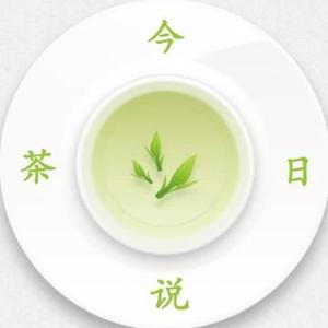 今日说茶头像