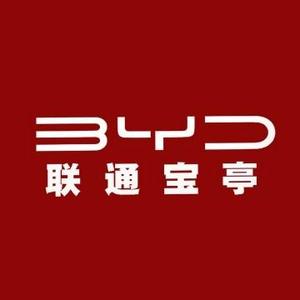 上海联通宝亭比亚迪头像