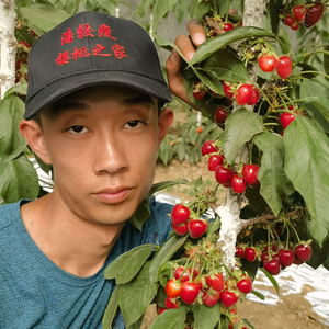 樱桃之家潘较瘦头像