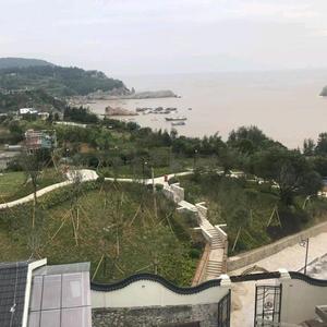 温哥头像