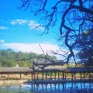 小周聊旅居头像