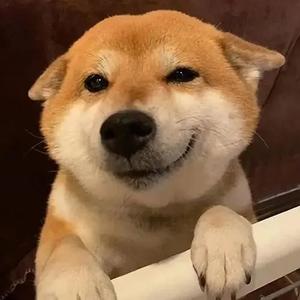 全电通头像