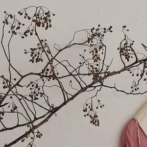 不爱吃香菜的静头像