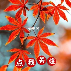 故事一听就有头像