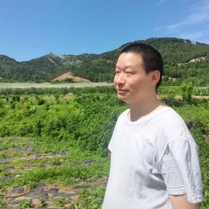 三月柳絮陈平头像