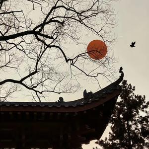 不将就头像