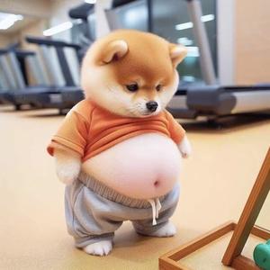 极速香瓜z头像