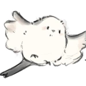 冰糖块儿头像