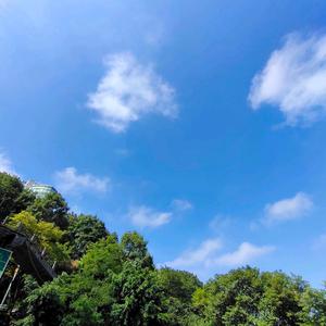 芒果200头像