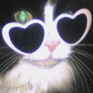 楚门和猫头像