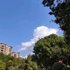 乐天派雨2头像