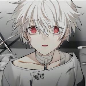 泡菜君YING头像