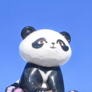 远舟头像