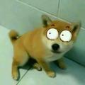 chongaiye头像