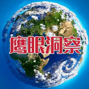 鹰眼洞察头像