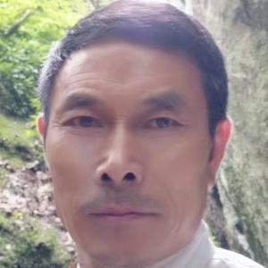 南丰紫霄辉煌苗圃头像