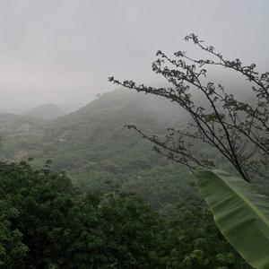 河南晓林头像