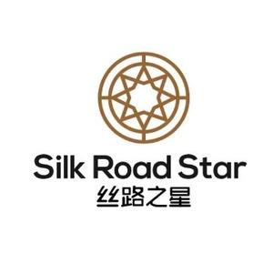 新疆丝路之星进口名车头像