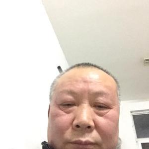 杜承鸽头像