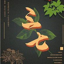 三七自学中医头像